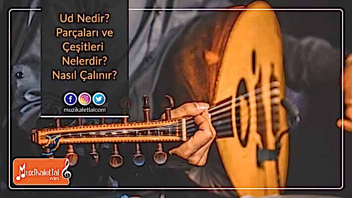 Ud nedir? Parçaları ve çeşitleri nelerdir? Nasıl çalınır?